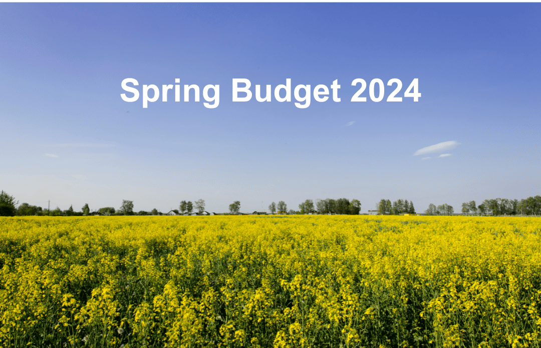 Spring Budget 2024 Insights for Employers and Employees Crystal HR